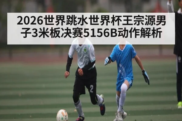 2026世界跳水世界杯王宗源男子3米板决赛5156B动作解析